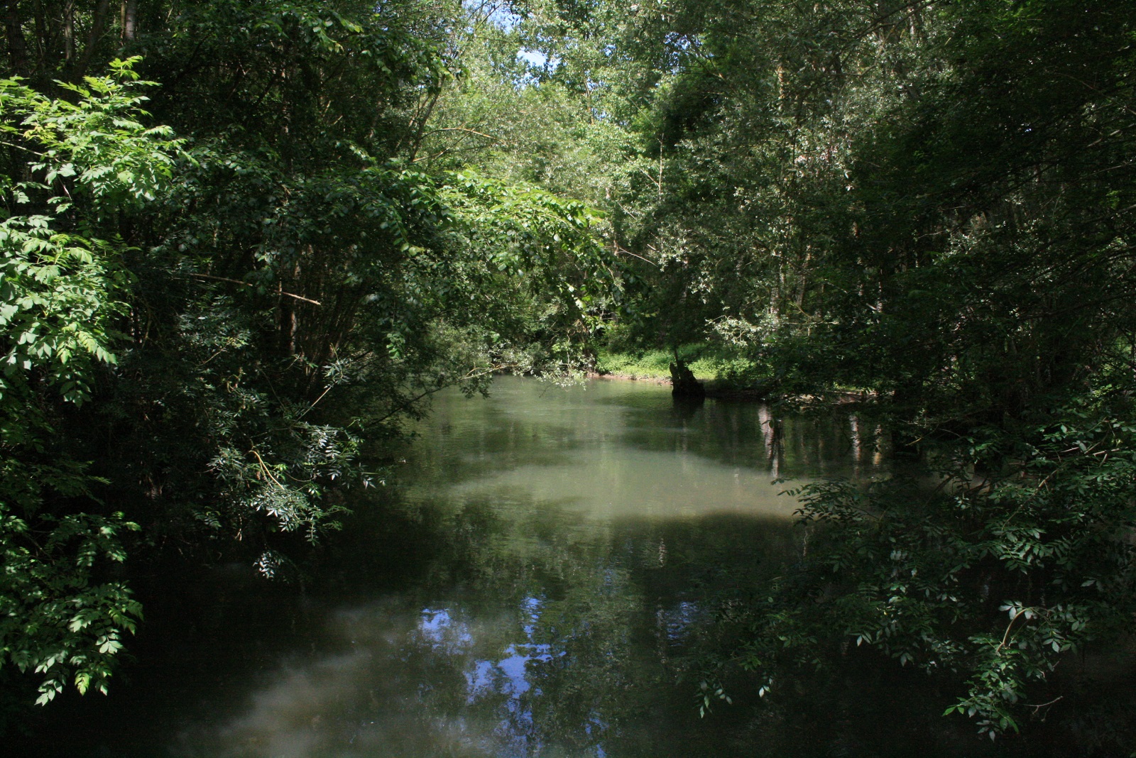 Course d' orientation - E.S.O Dampierre/Boutonne - Circuit Rive de Boutonne