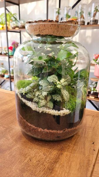Atelier spécial Fête des pères - Terrarium XXL