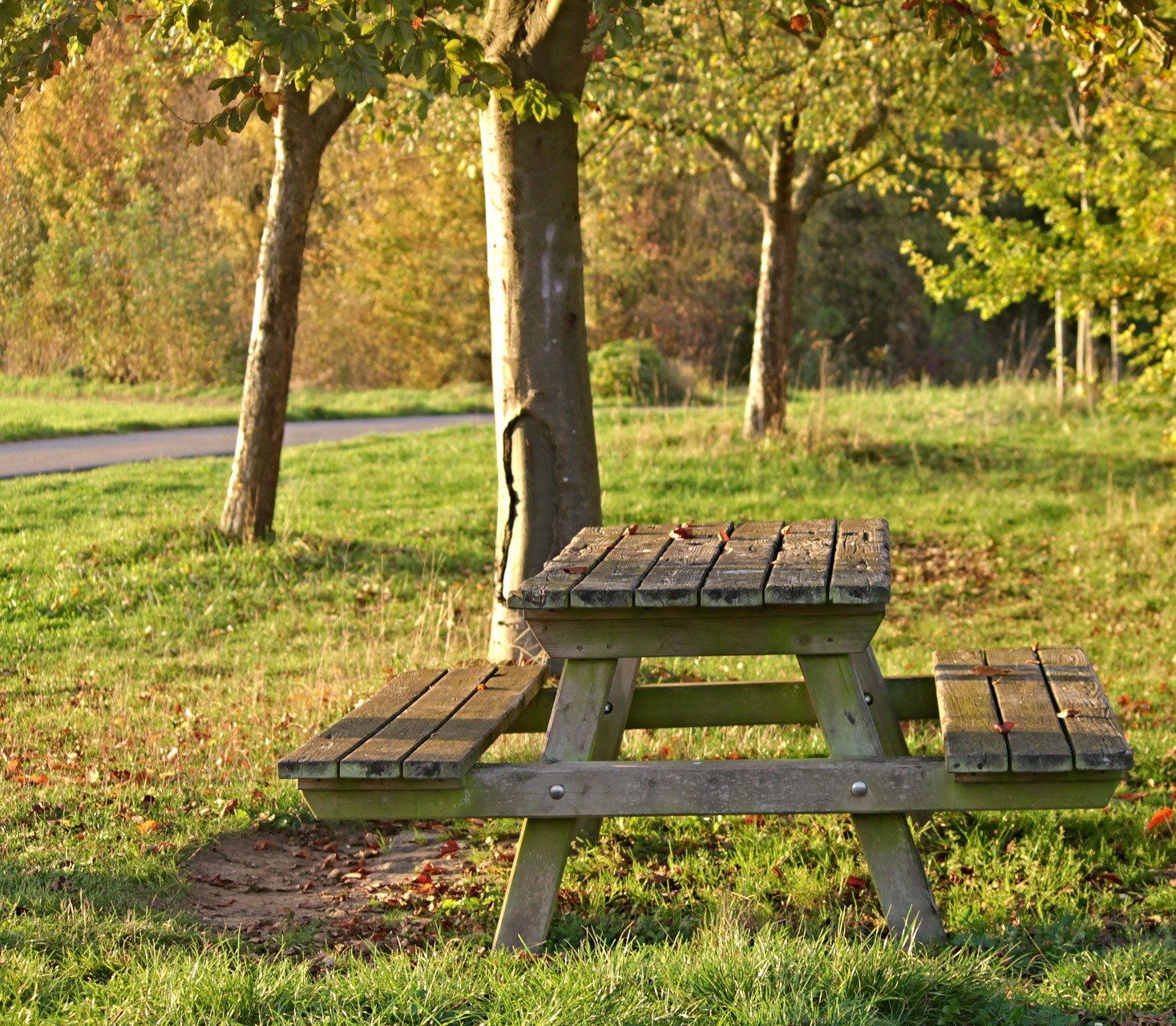 Aire de pique-nique - Salles-les-Aulnay