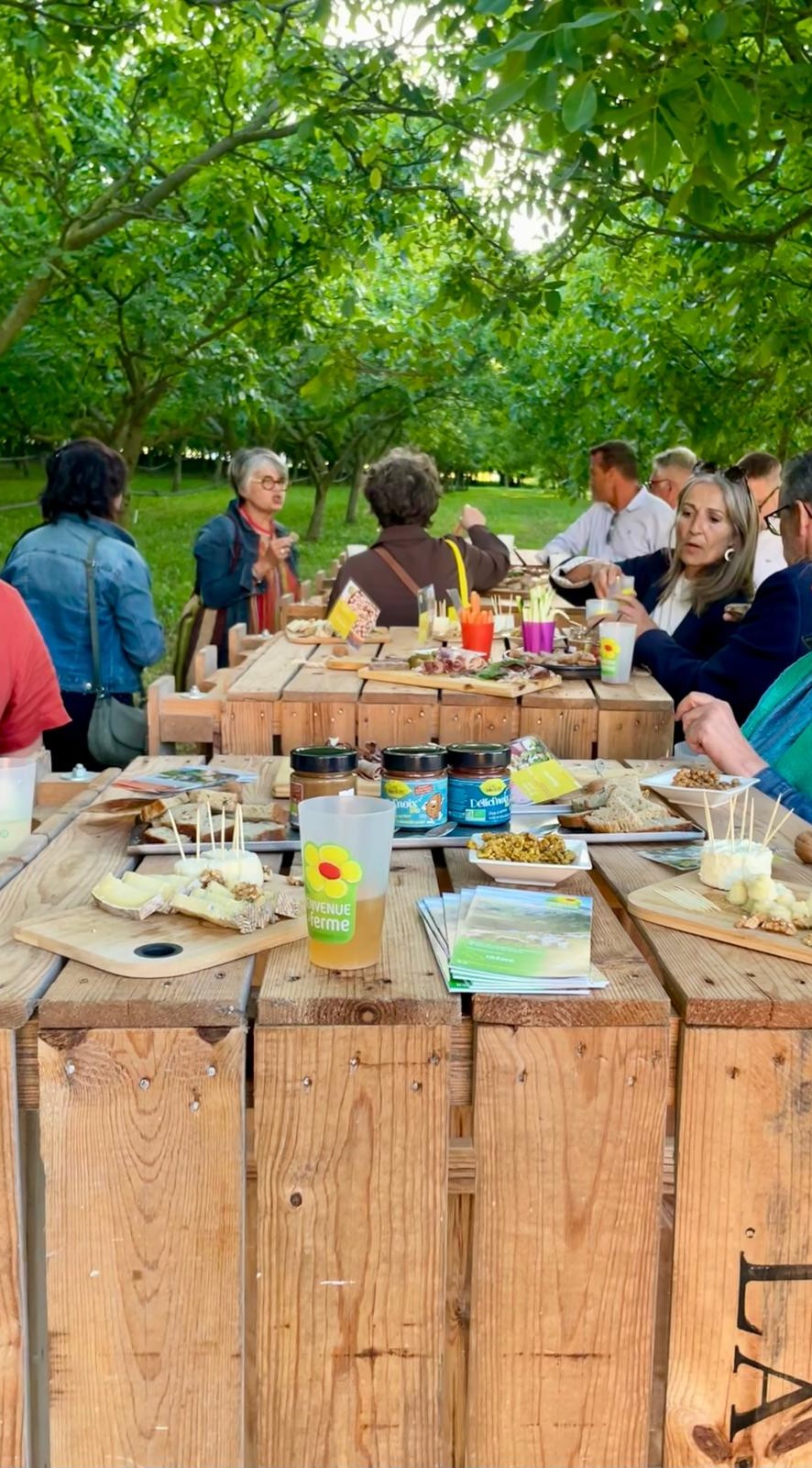 Apéro sous les noyers