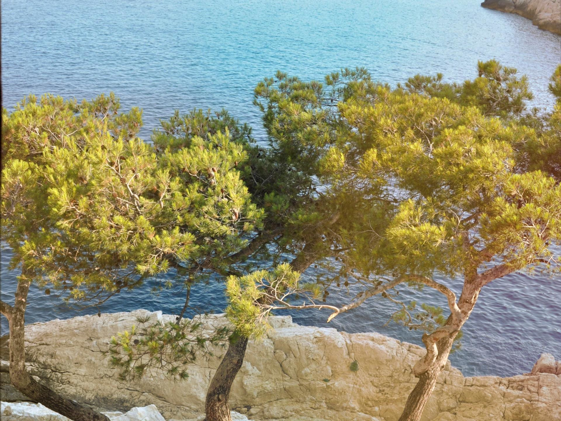 Parc national des Calanques — photo 2