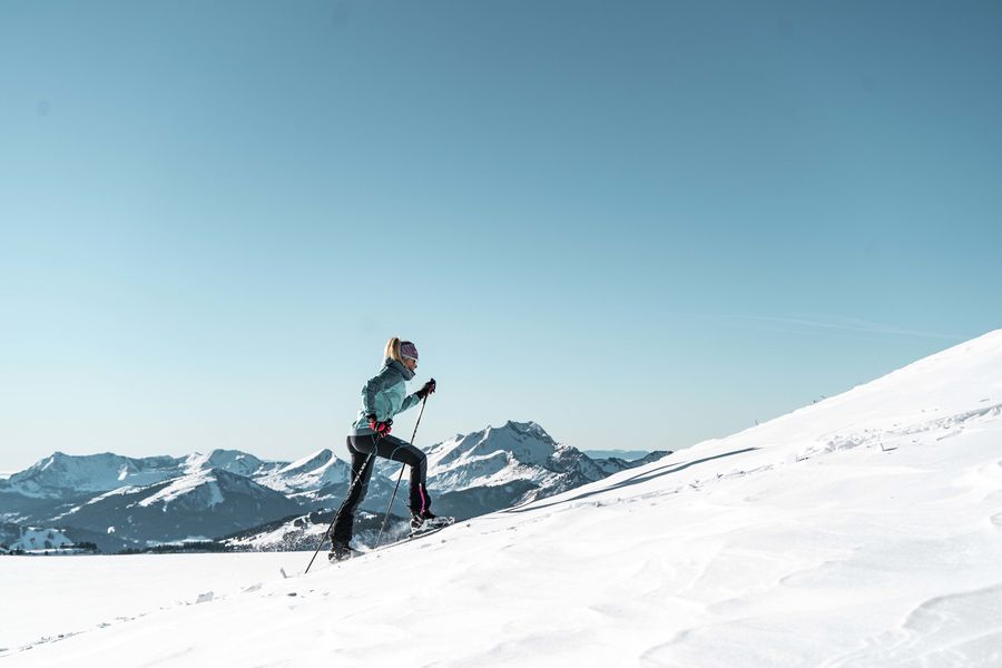 Itinéraire de ski de randonnée La Franco-Suisse