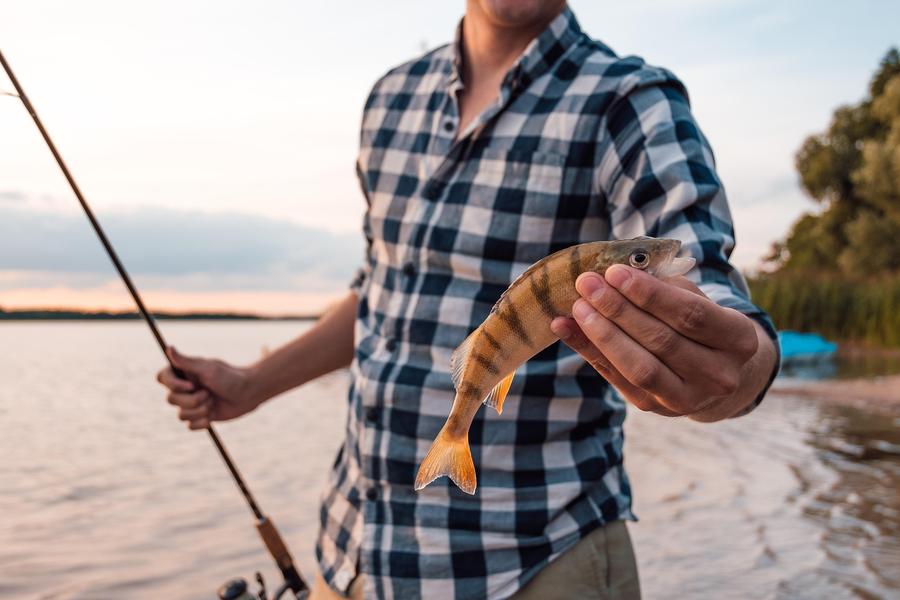 Concours des retraités de la Loire - Compétition de pêche_Veauchette