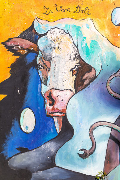 Visite guidée : à la découverte de l’Art Vache