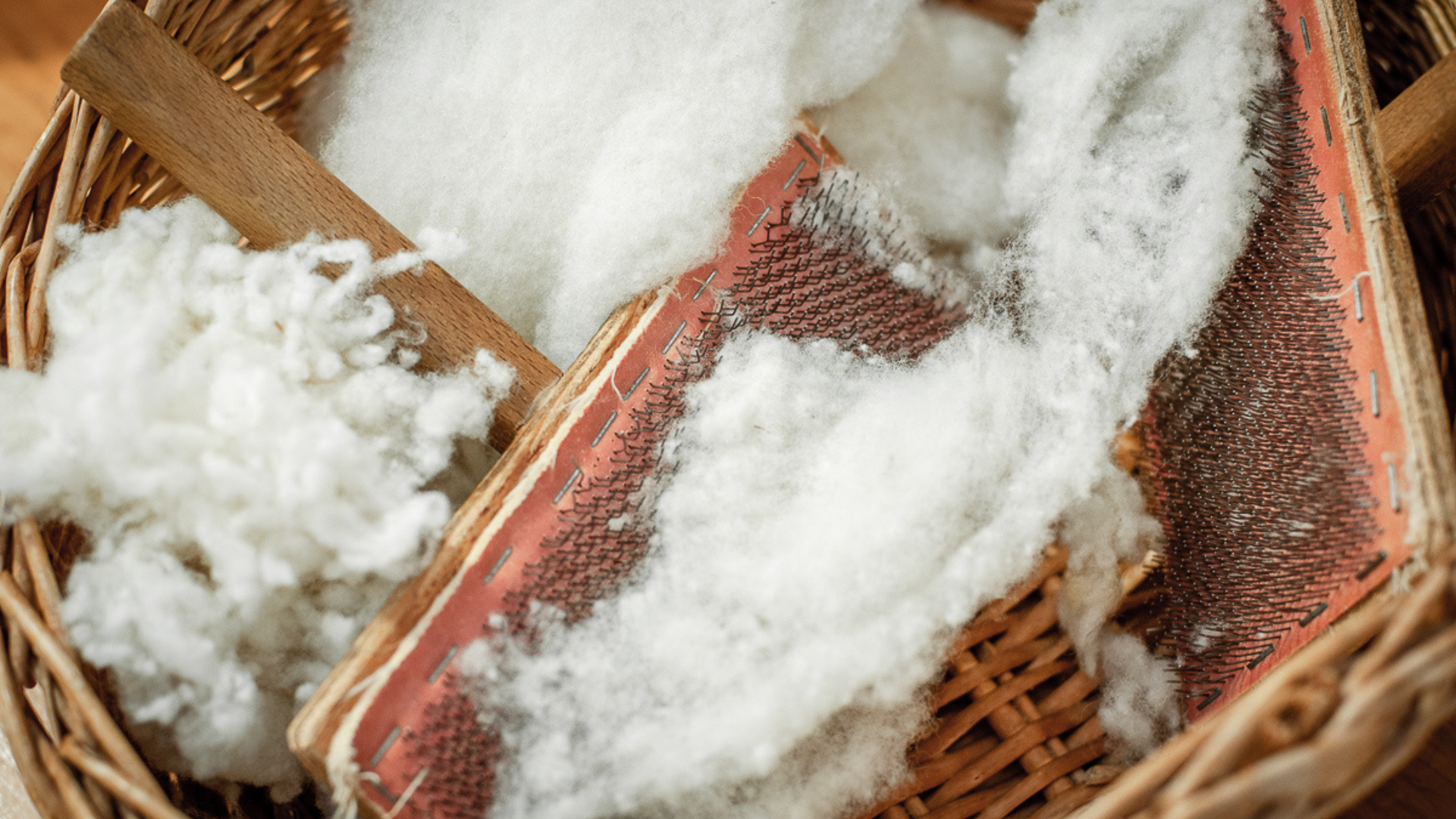 Visite guidée "La laine en révolution"
