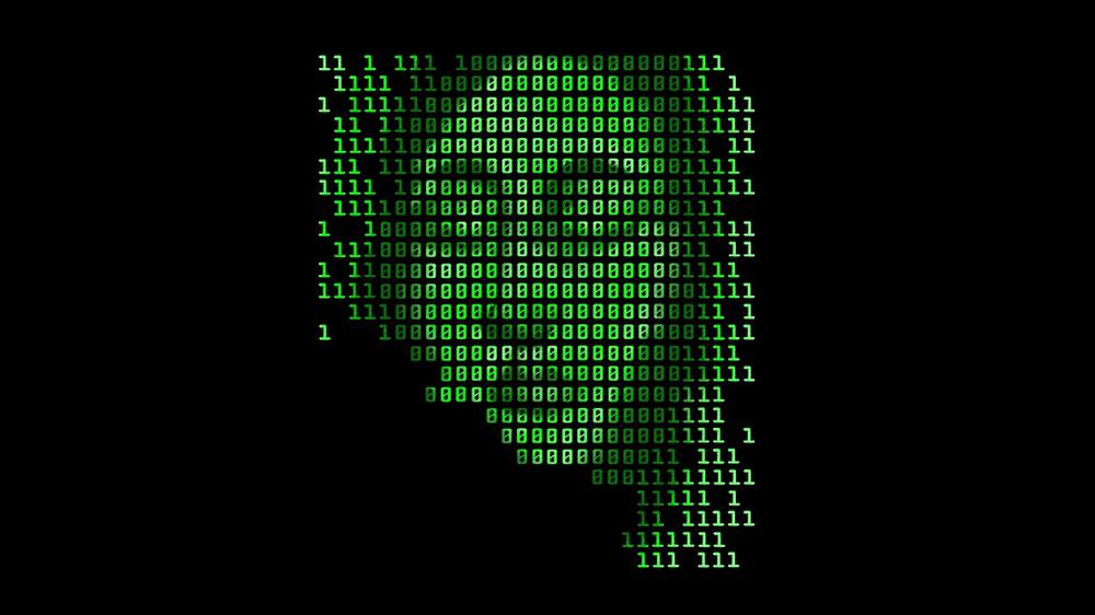 ADA, au-delà de l’image