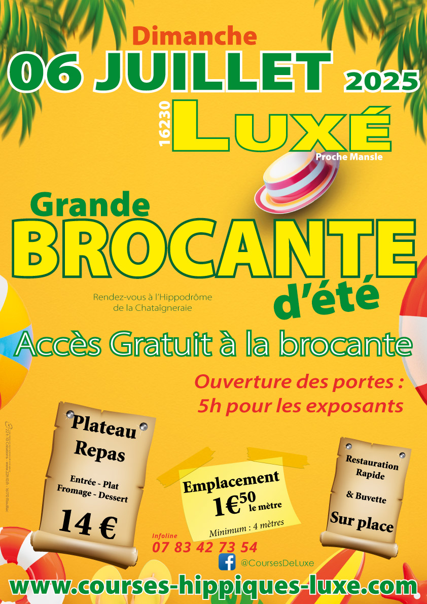Grande brocante_Luxé