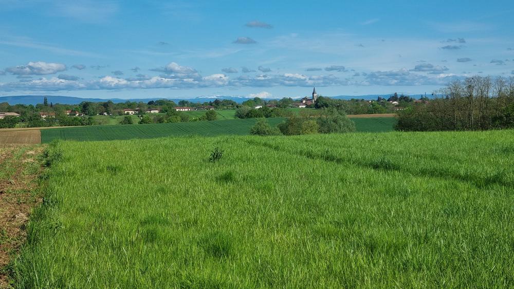 Circuit VTT-VTC n°27 (noir) - Les domaines de Bresse