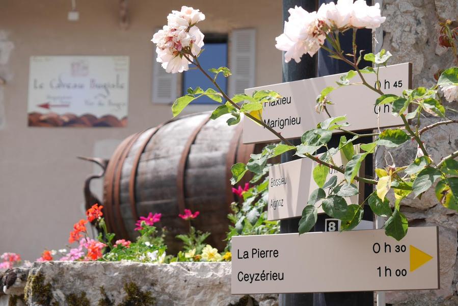 Le Caveau Bugiste à Vongnes