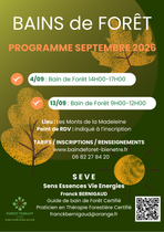 Bain de forêt_Renaison