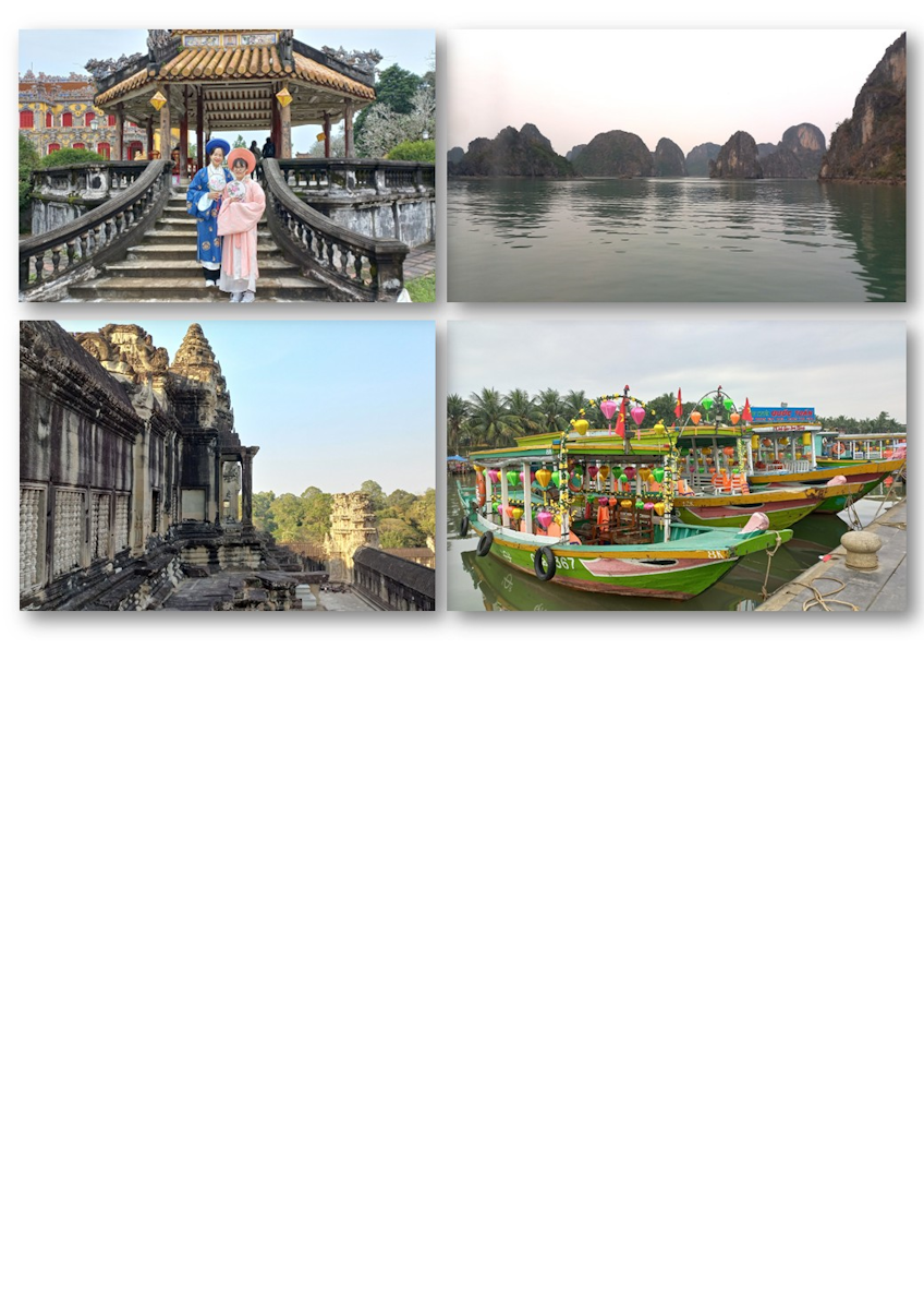 Projection - Un certain regard du Vietnam