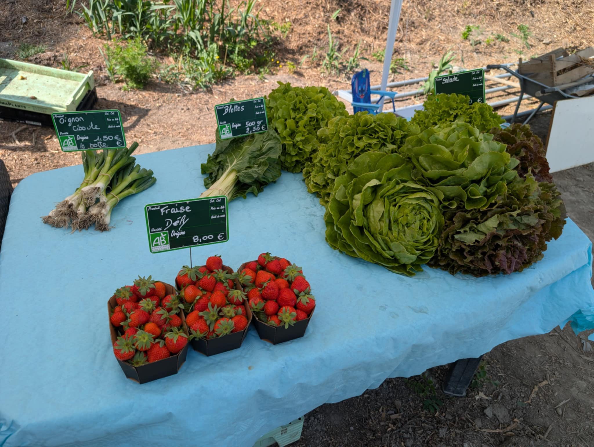 Le Potager Nature — photo 2