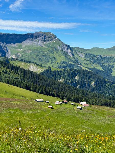 Les chalets d'Hermance au départ du Mont d'Arbois
