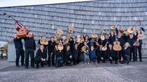 Quand la mandoline rencontre Brassens_Mably