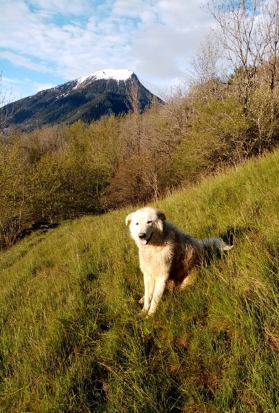 Bergerie de l'étoile