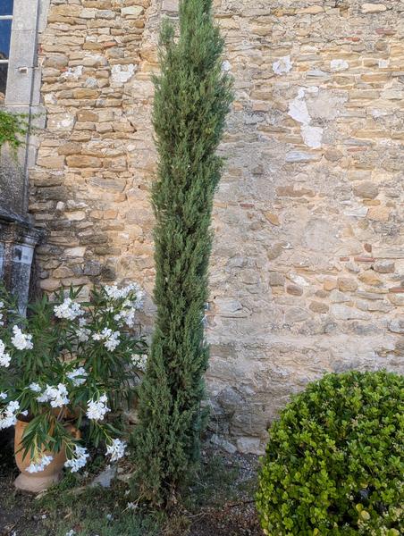 Domaine de Grangeneuve_Mondragon