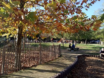 Parc de Vaugrenier - Villeneuve-Loubet