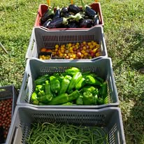 540671119_122145085376838170_3102161615979861654_n