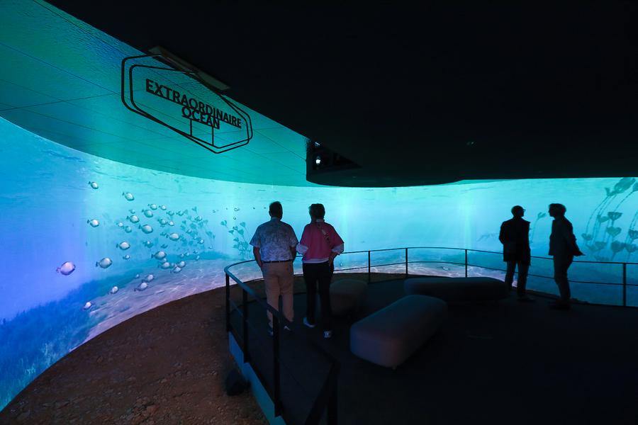 Fossilea_Espace Immersif