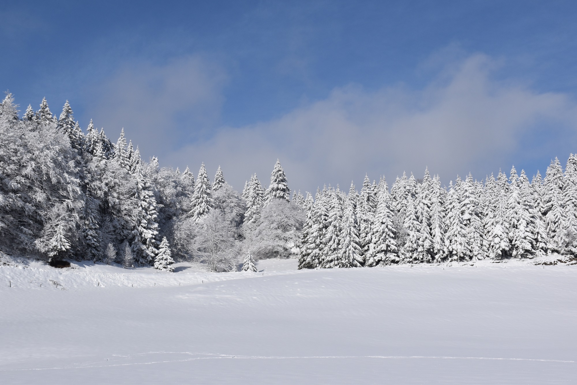 Piste verte de ski de fond du Plateau de Retord : La Vezeronce