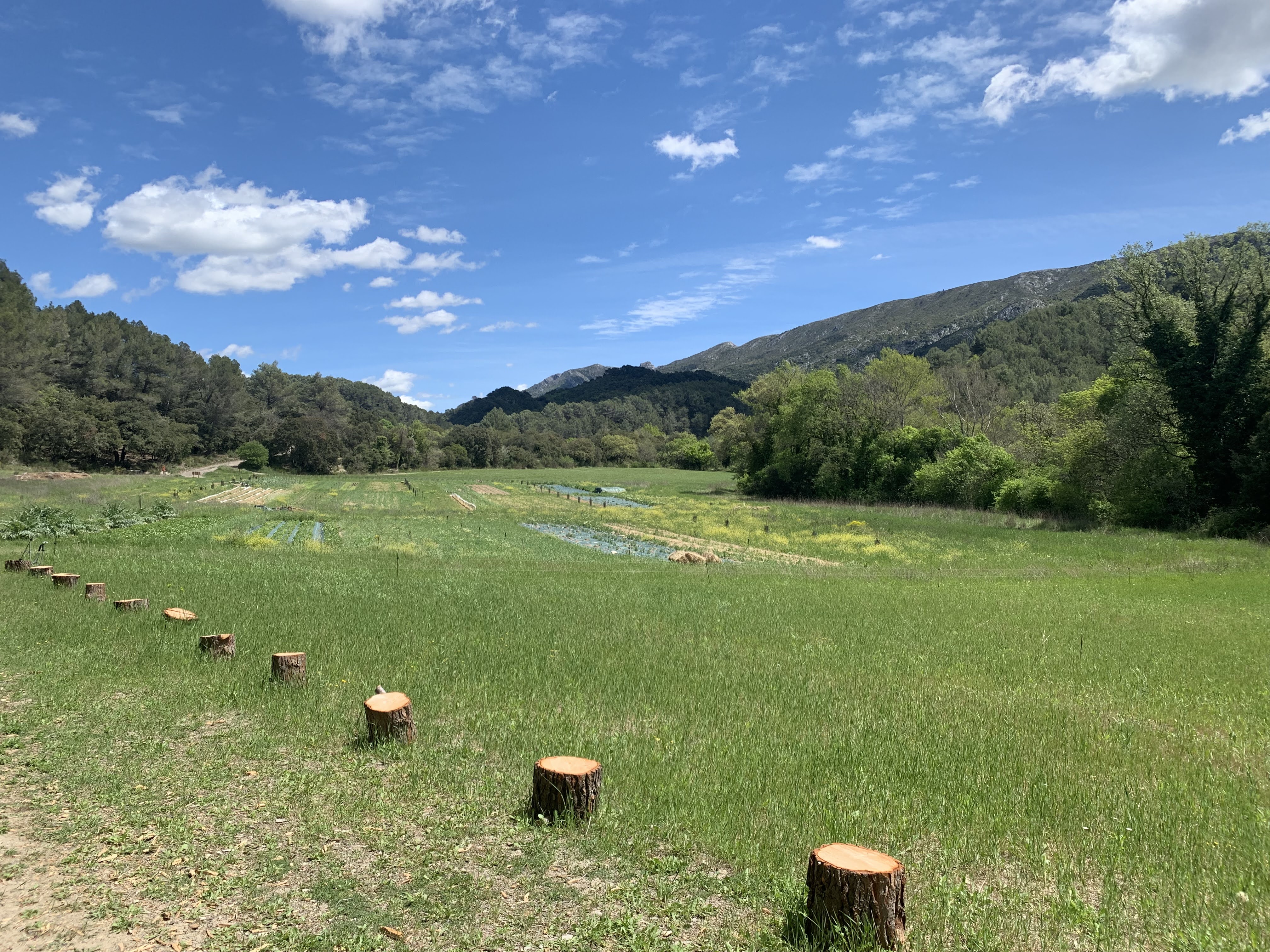 Le maraicher de Bimont
