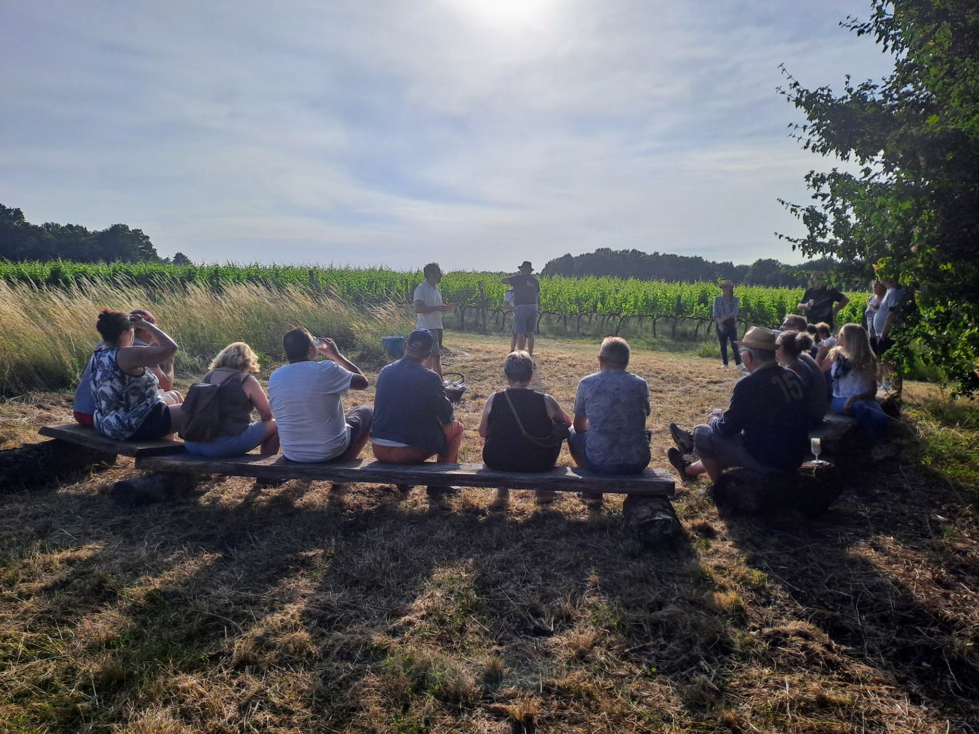 Le Vigneron Noctambule