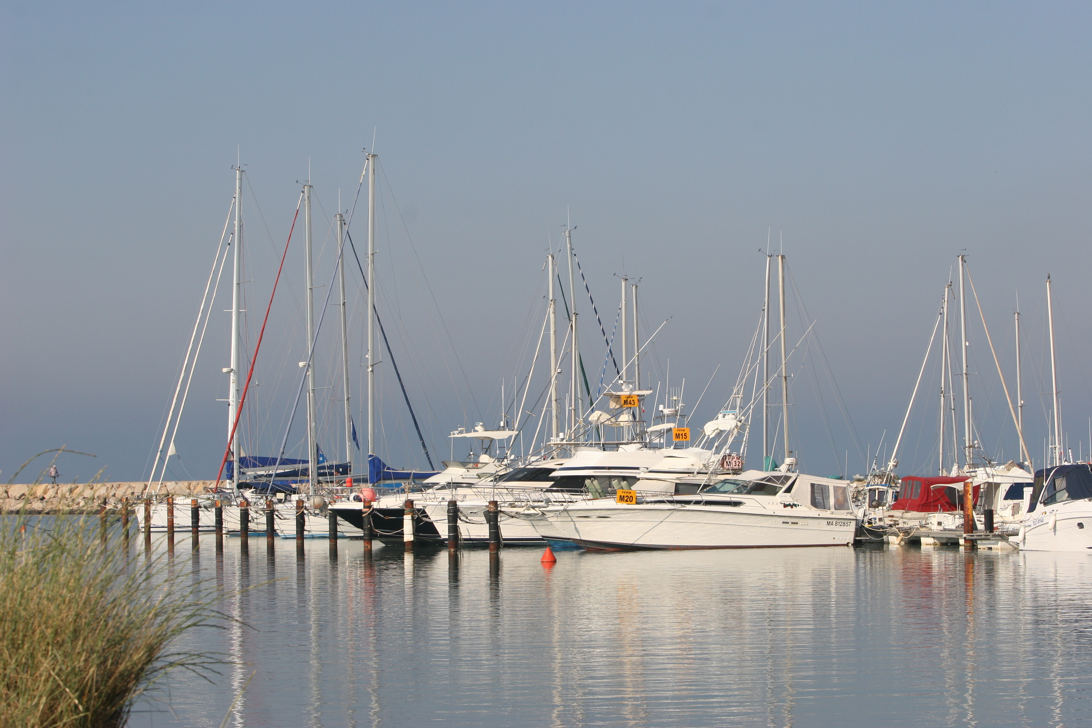 Soirée Sardinade de l’association des plaisanciers au Port Gardian
