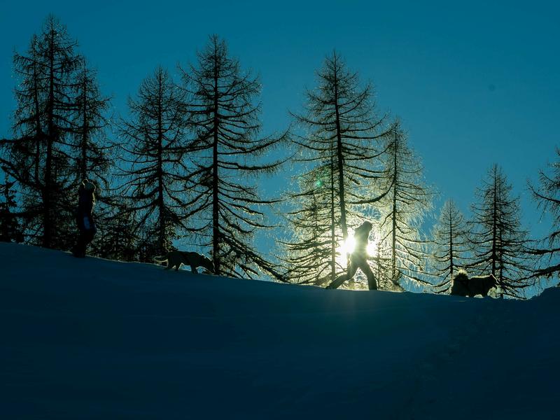Sentier du Revers hiver