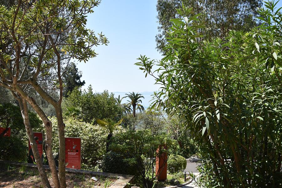 Le parc aux abords de la grotte