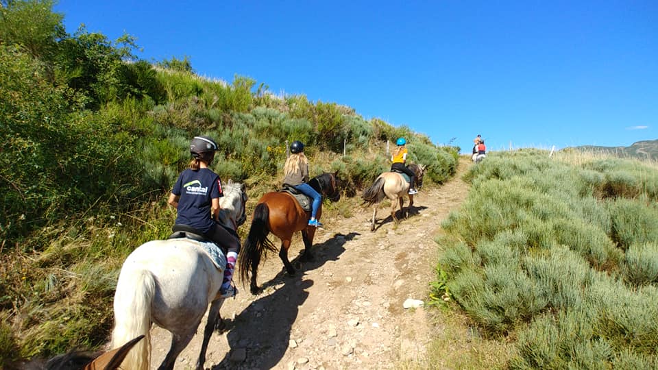 Fermes équestres de la Planèze et de l'Alagnon