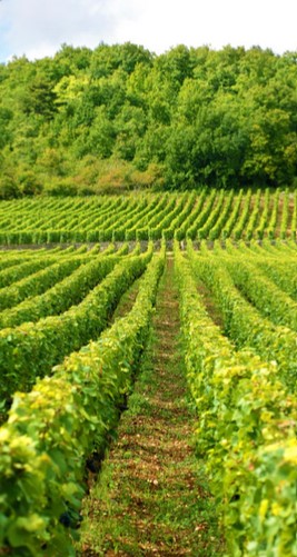 Food Tour Le Circuit Valois