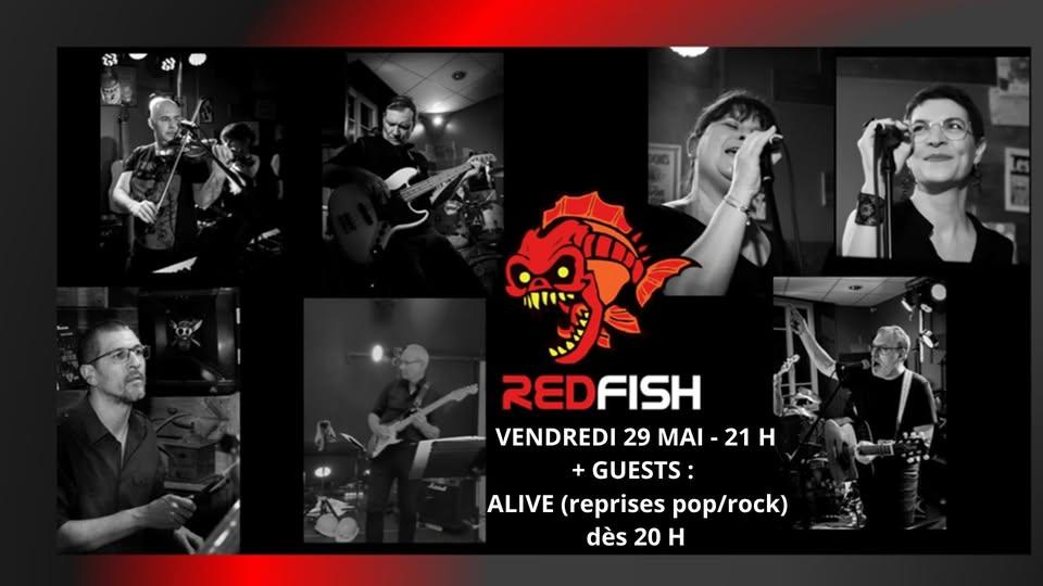 soirée reprise pop/rock avec red fish