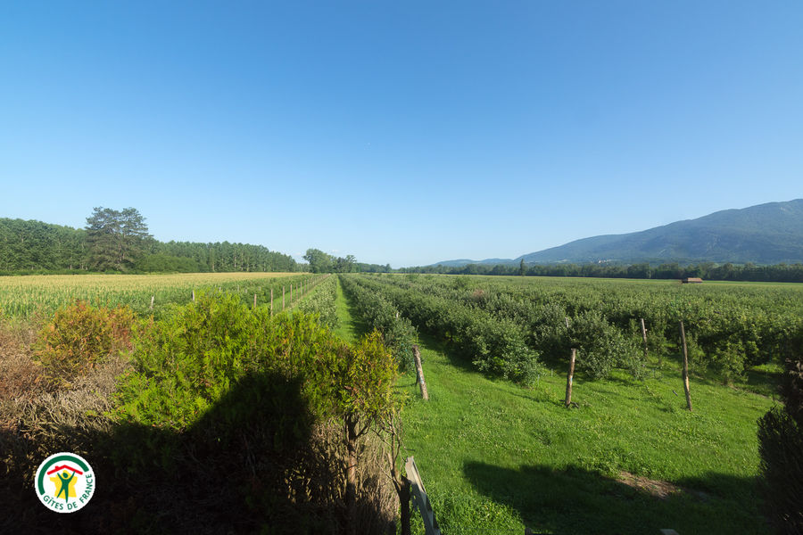 Gîte Fritillaire Pourpre à Brangues