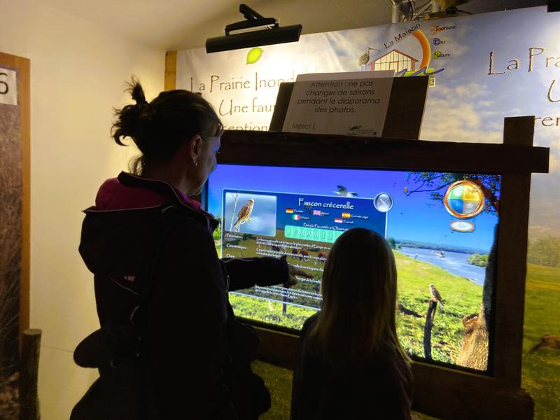 découverte interactive des oiseaux découverte interactive des oiseaux