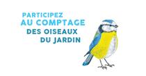 effectifs oiseaux apidae