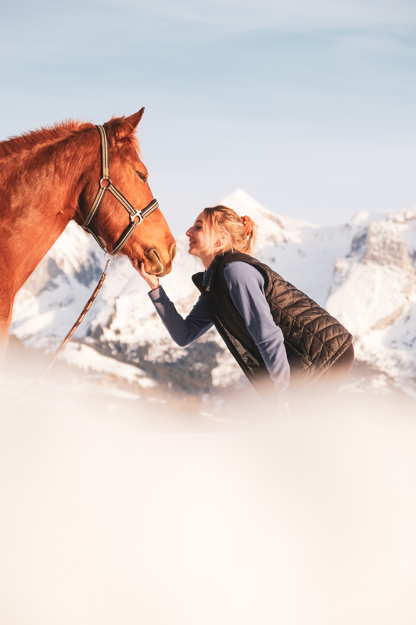 Médiation équine au Grand-Bornand