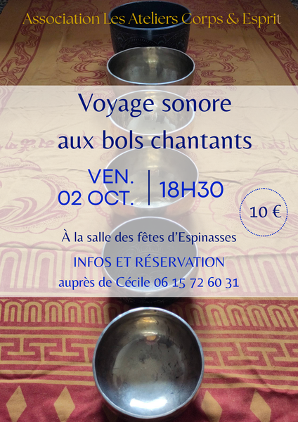 Voyage sonore