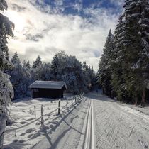 Pistes de ski de fond du Plateau de Retord