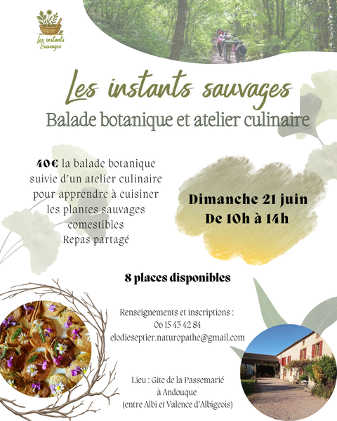 Balade botanique et atelier culinaire