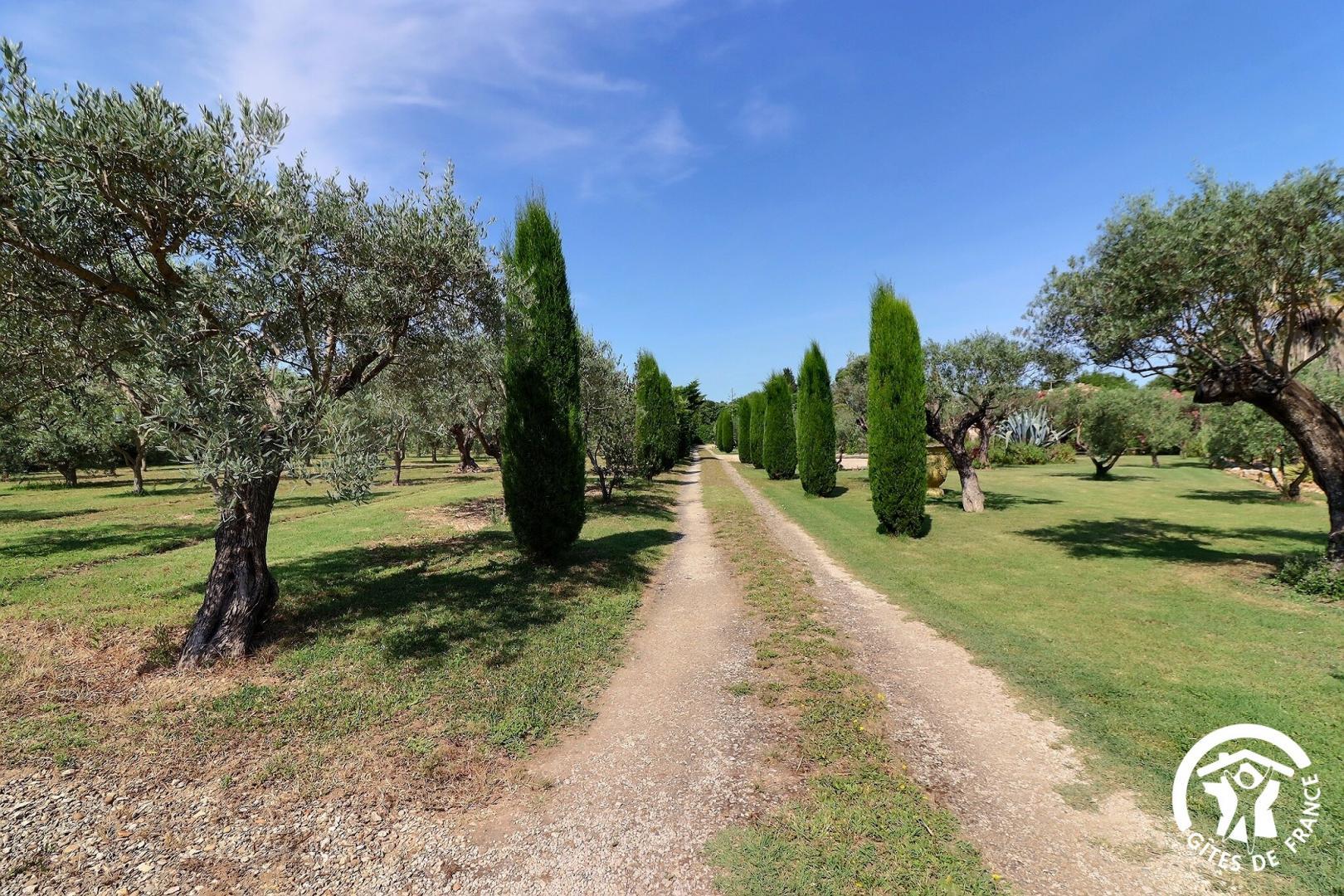 Le Tournesol, Saint-Rémy-de-Provence - photo 12