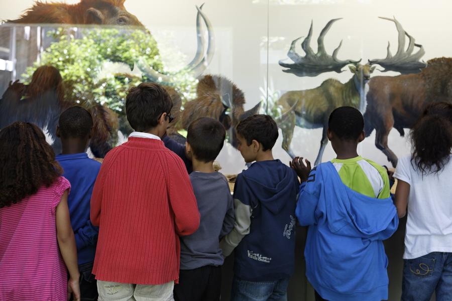 Visite groupes - Musée départemental de Préhistoire d'Île-de-France