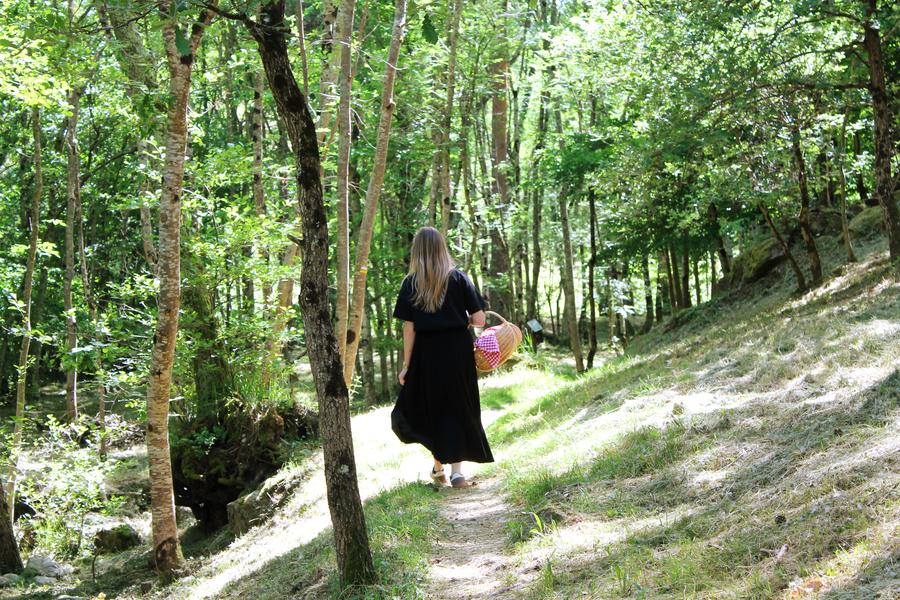 Arboretum_Saint-Félicien