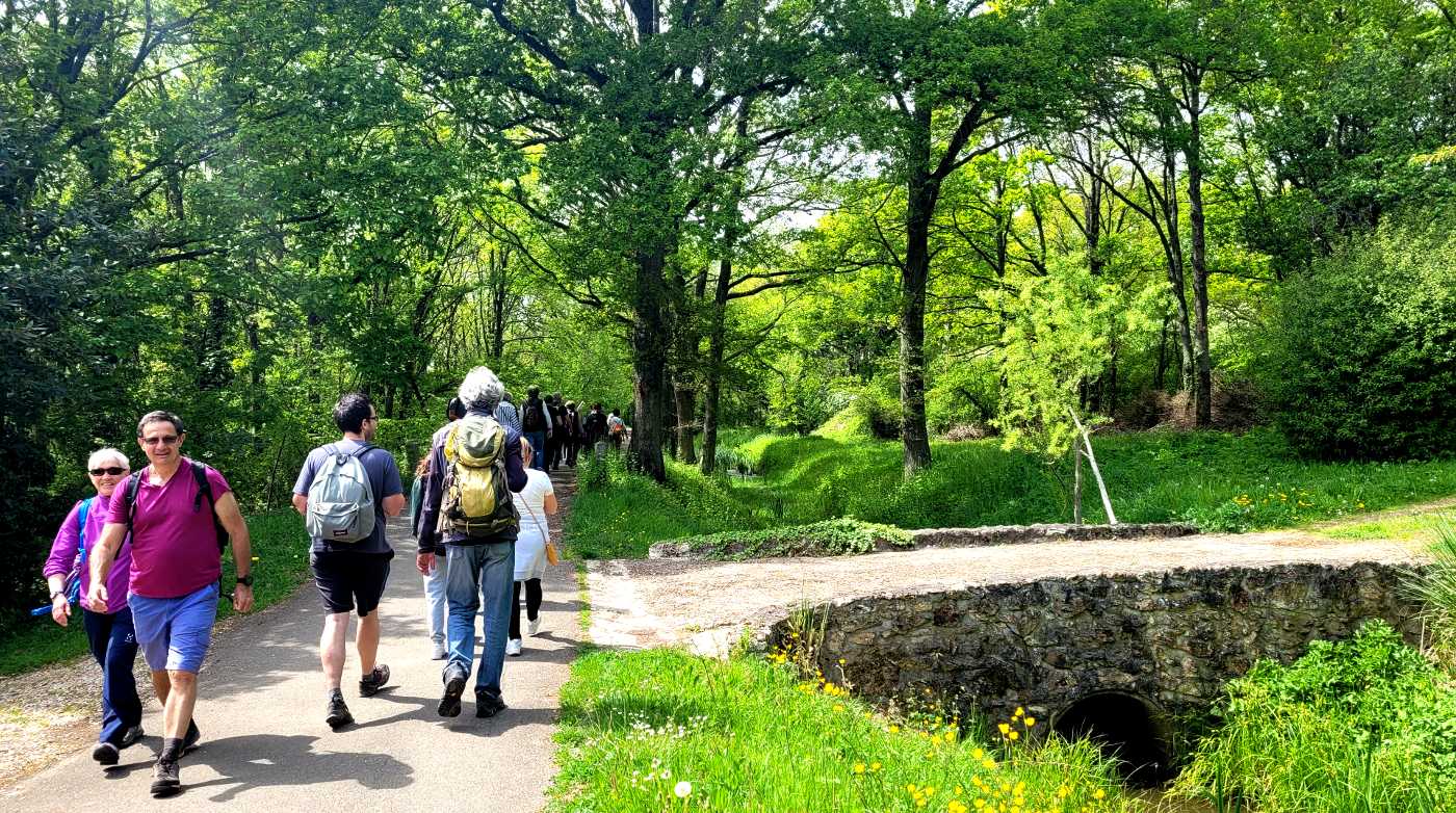 Les rigoles du plateau de Saclay
