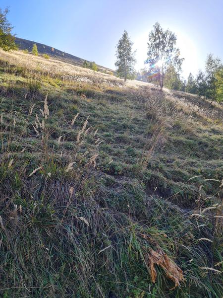 Montée au plateau d'Emparis