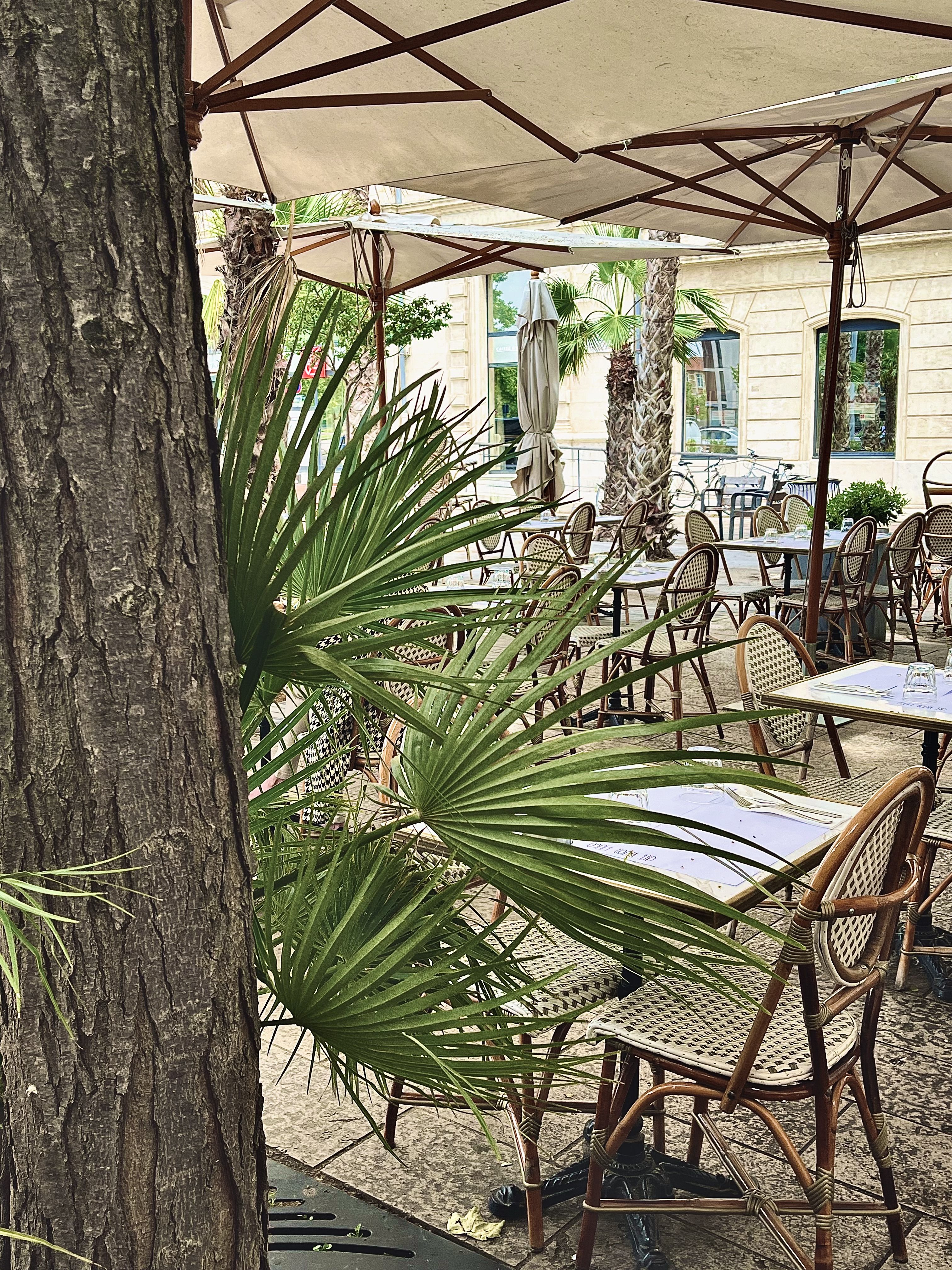 Le Café Victor Hugo