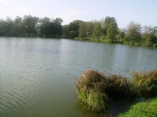 Plan d'eau de Champataule