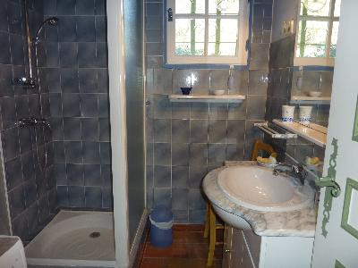 Hémérocalles, Vauvenargues - photo 10