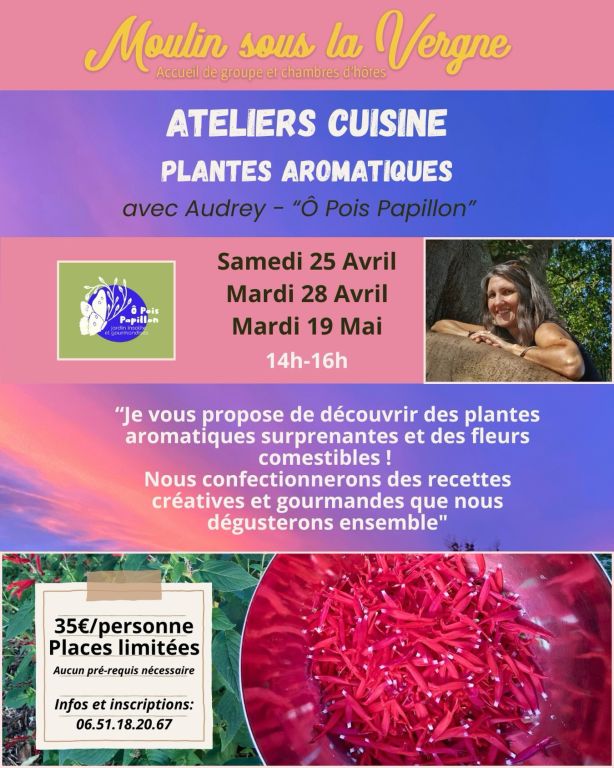 Atelier cuisine : plantes aromatiques