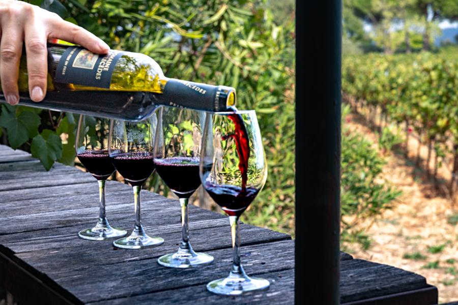 Expérience œnophile au Domaine de Peirecèdes_Cuers