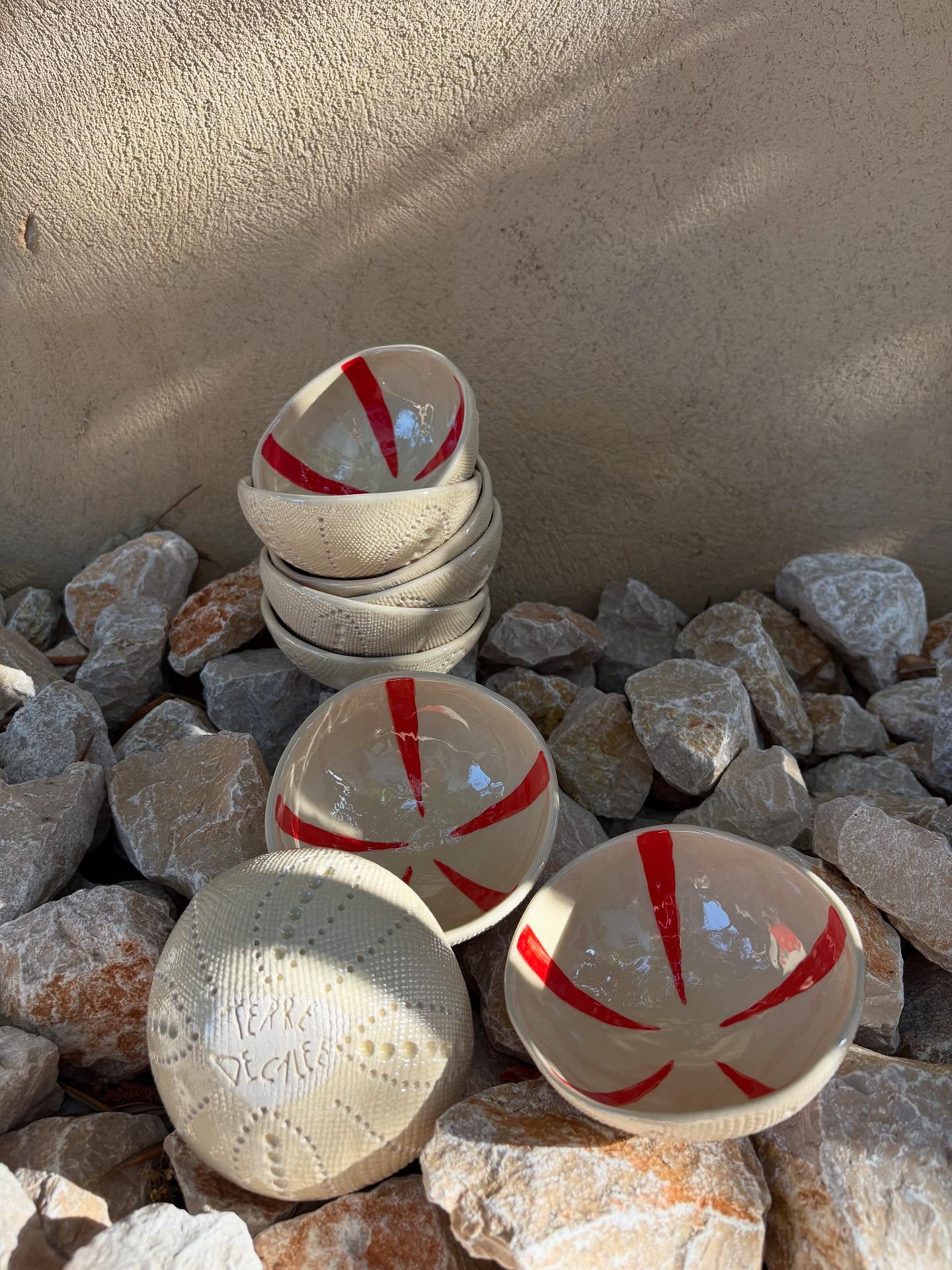 Terre Décalée - Patricia Cohen